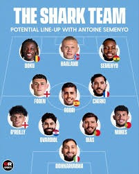 section layout diagram
